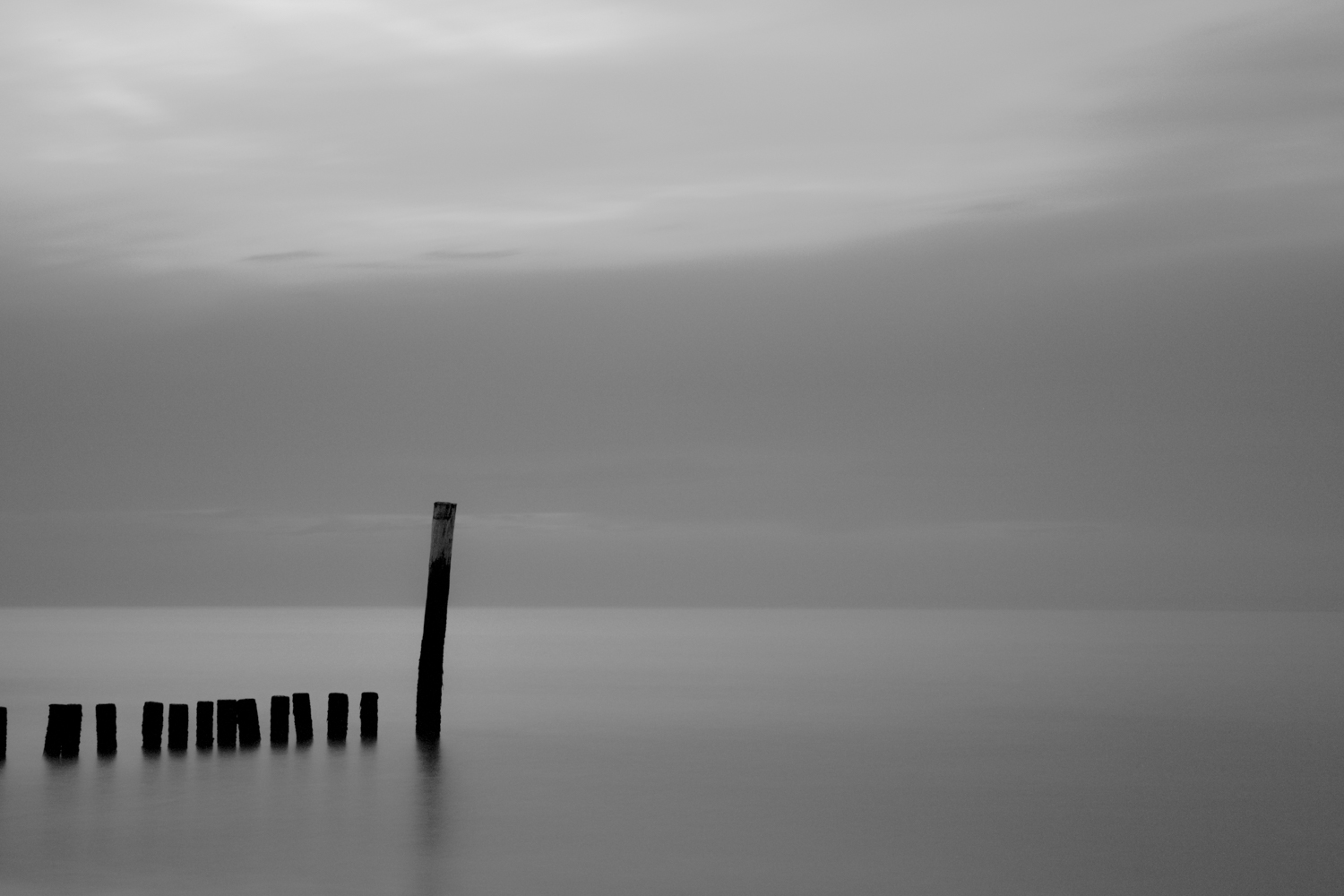 placeholder image-sq