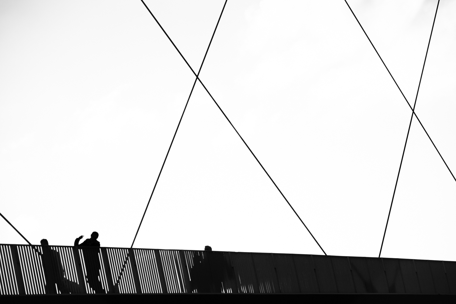 placeholder image-sq