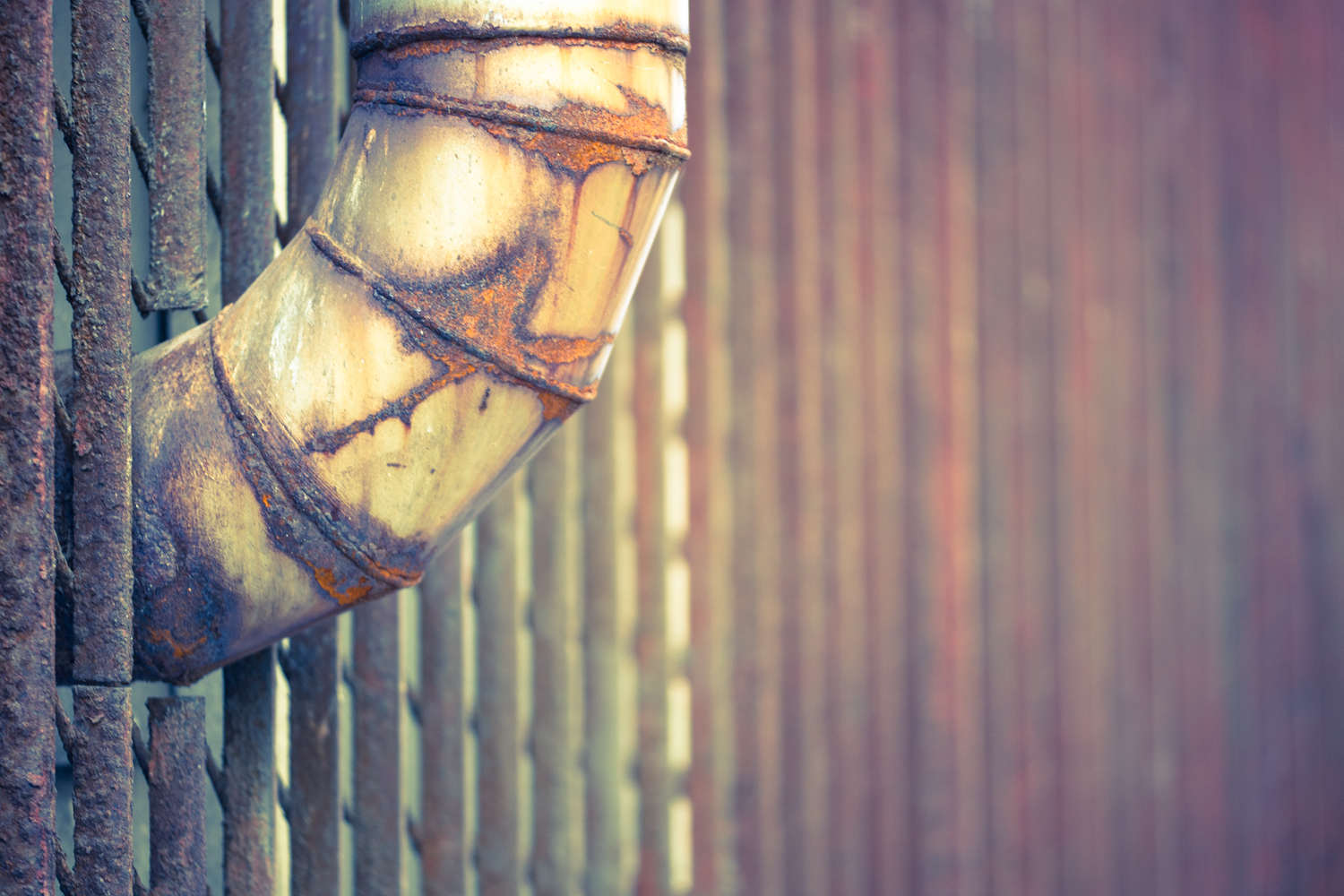 placeholder image-sq