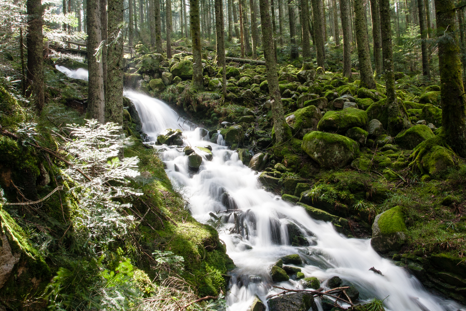 placeholder image-sq