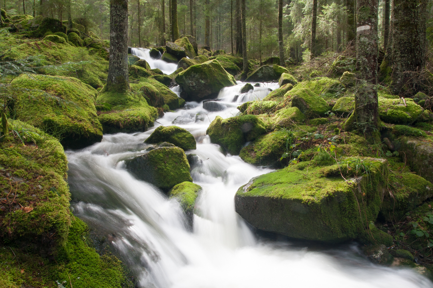 placeholder image-sq