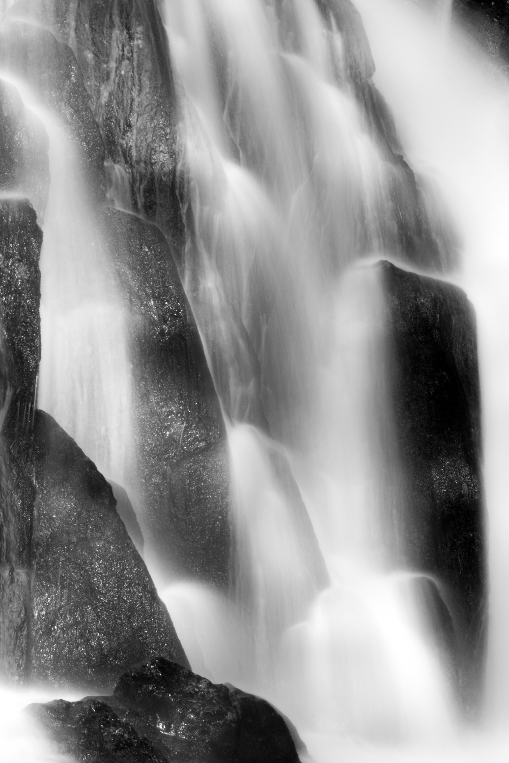 placeholder image-sq